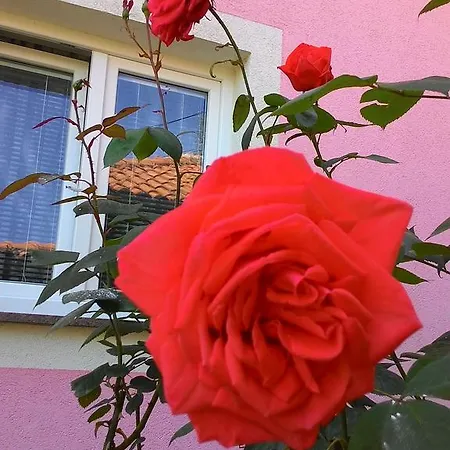 Amelie Apartment Opatija